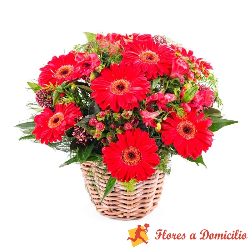 Canastillo Pequeño de 10 Gerberas Rojas