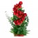 Cesta Mediana Rosas Ascendente