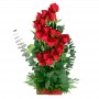 Cesta Mediana Rosas Ascendente