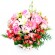 Flores Para Nacimiento Flores Rosas