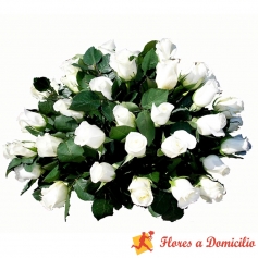 Ovalo de Condolencias de 25 Rosas Blancas