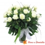 Flores Condolencia Florero Rosas Blancas
