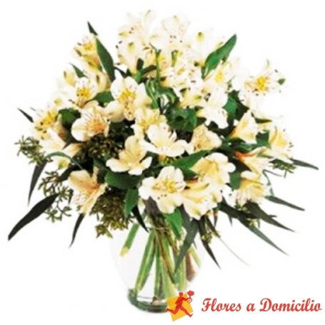 Florero de 30 varas de flores Astromelias Blancas Para Condolencias