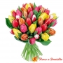 Ramo de Flores con 20 Tulipanes Mix de Colores