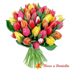 Ramo de Flores con 50 Tulipanes Mix de Colores