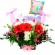 Cesta de Nacimientos para Niñas con Ropita Globo y mix de Flores