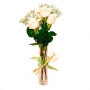 Condolencias Presencia 3 Rosas Blancas en Florero