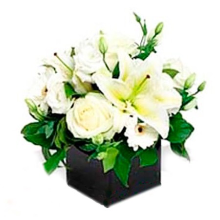 Mini Condolencias