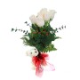 Florero con 6 Rosas Blancas con peluche