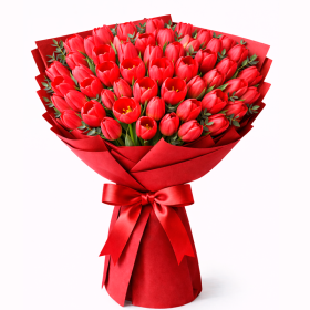 Ramo de 50 Tulipanes Rojos
