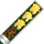 CAJA 3 ROSAS AMARILLAS