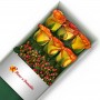 CAJA 6 ROSAS CIRCUS