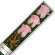 CAJA 3 ROSAS ROSADAS