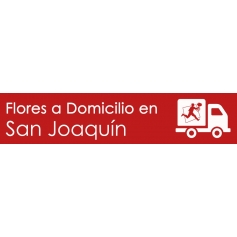 Flores a domicilio en San Joaquín