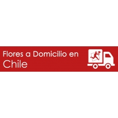 Flores a domicilio en Chile