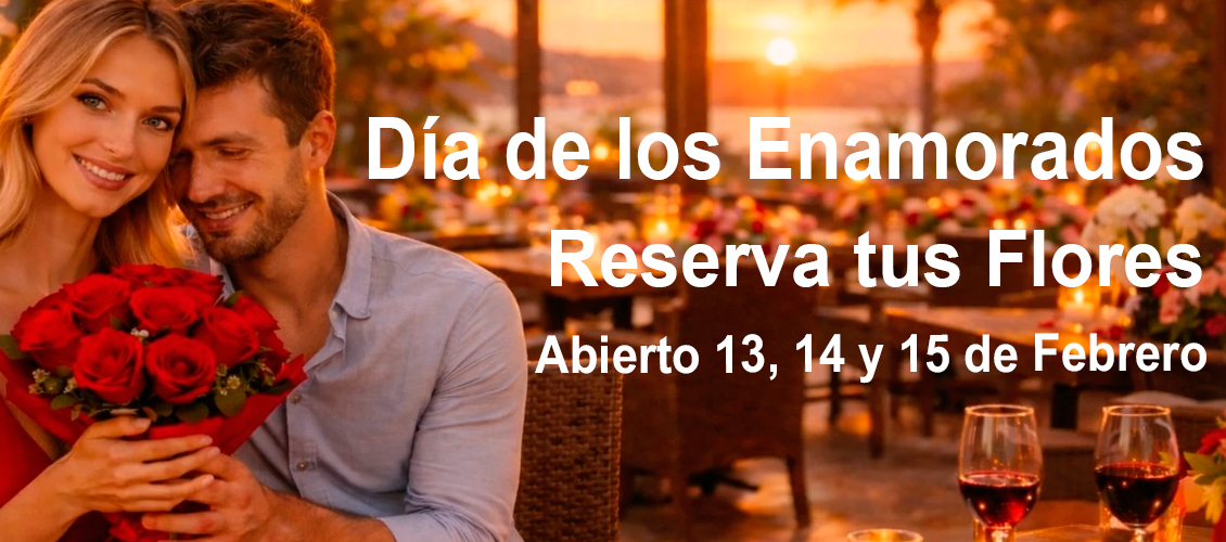 DÍA DE LOS ENAMORADOS